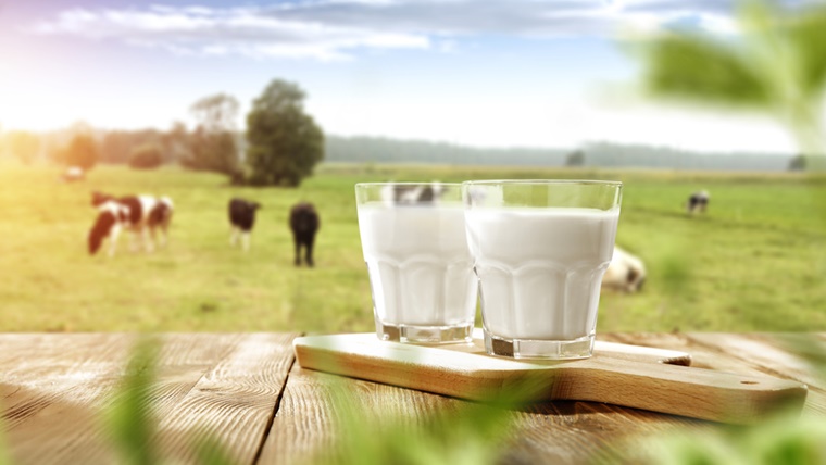 オイシックスのおいしっくすくらぶでは牛乳飲み放題が可能!